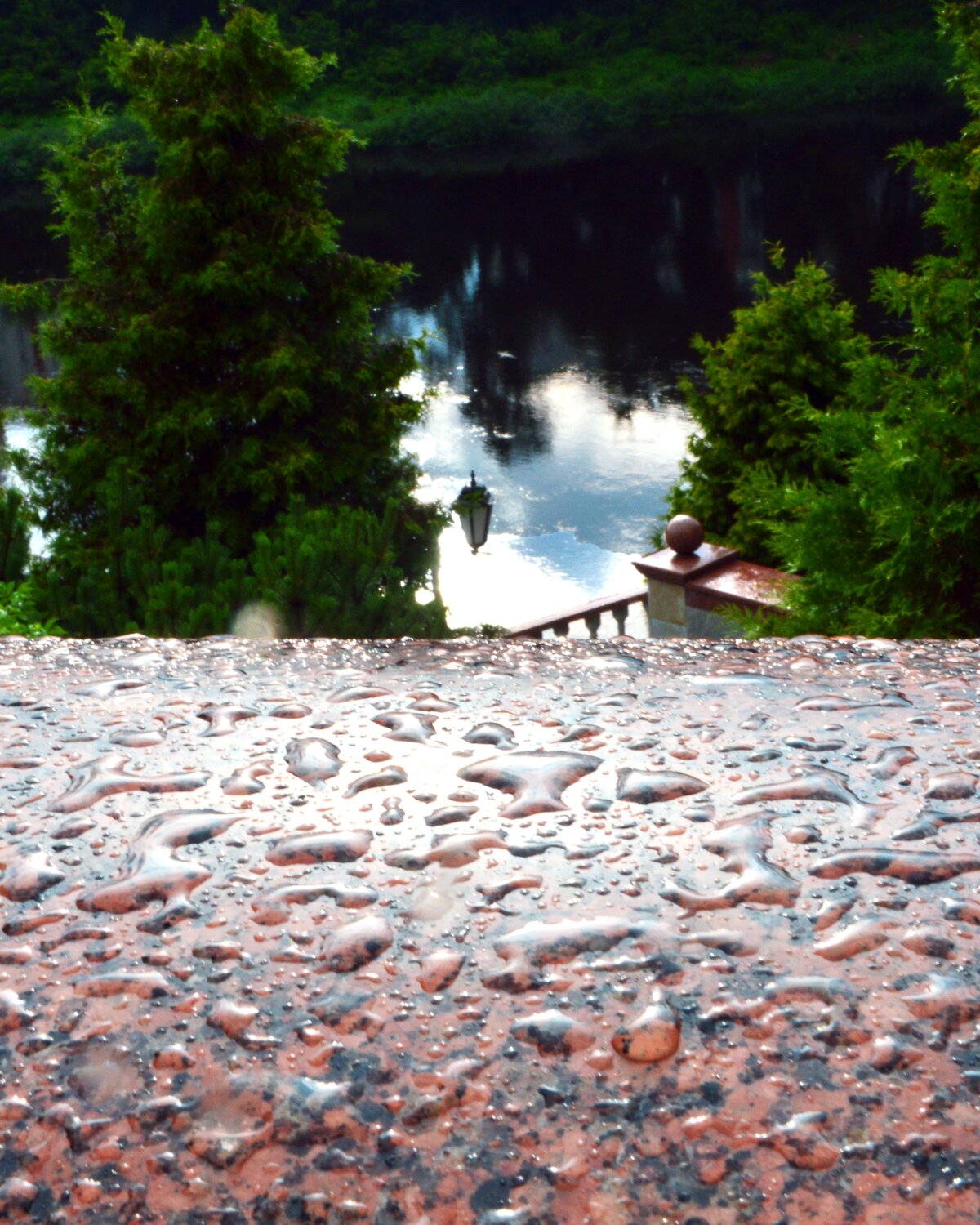 Photo #14146473