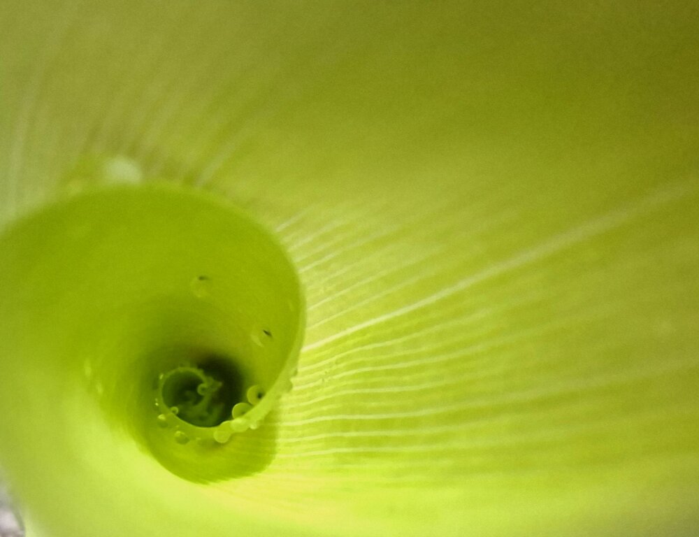 Photograph by Юлия Измерова