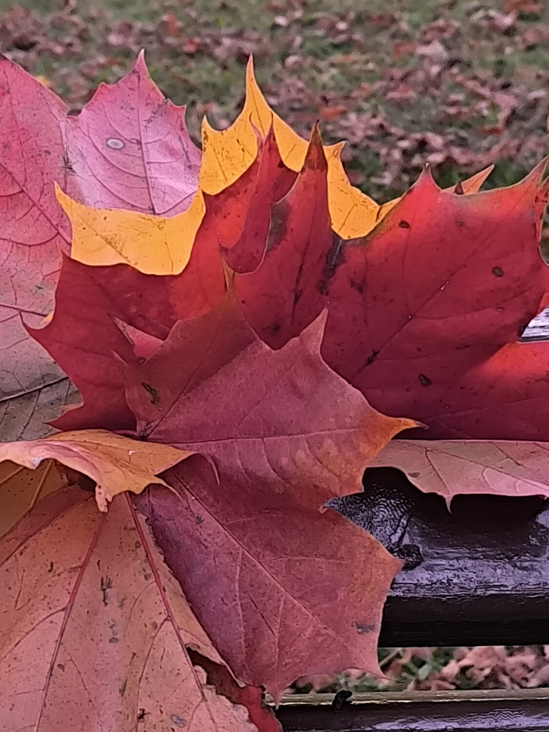 Photo #14146649