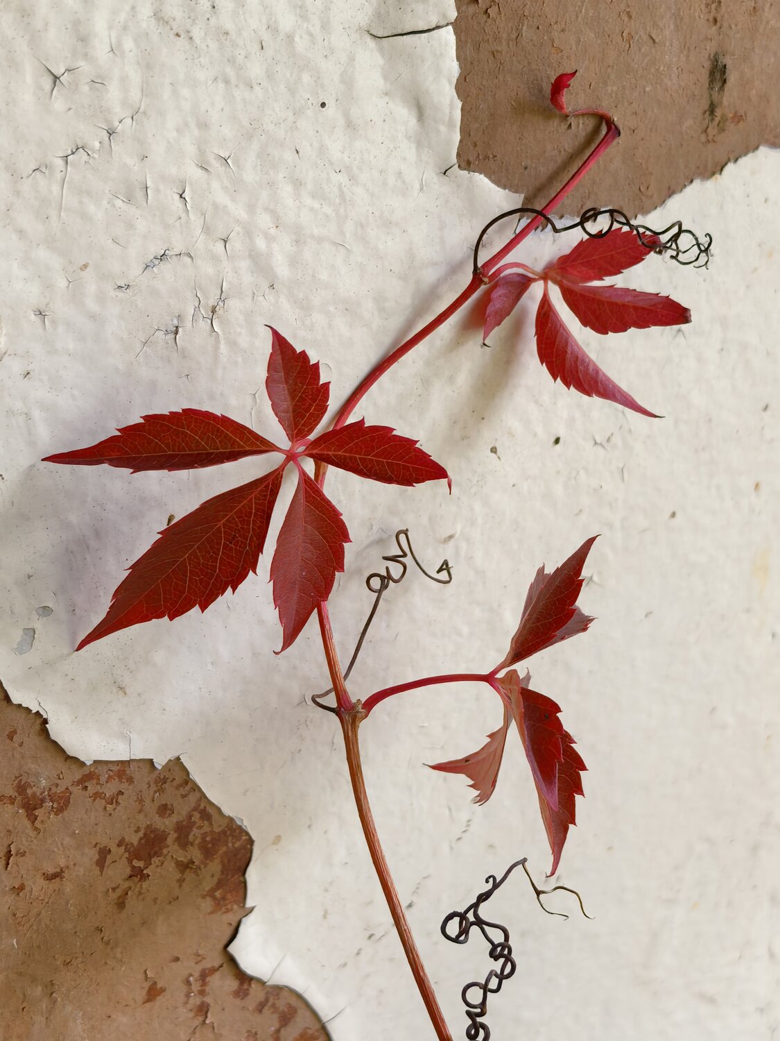 Photo #14146657