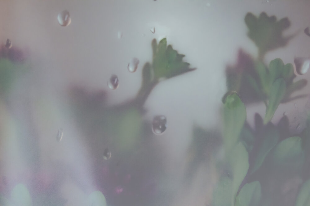 Photograph by Ирина Григорьевна