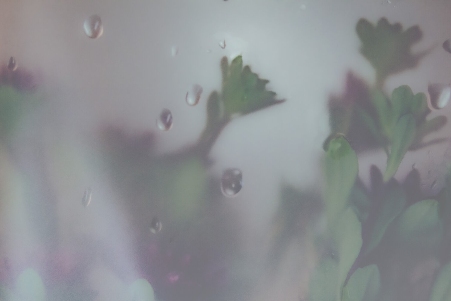 Photo #14146698