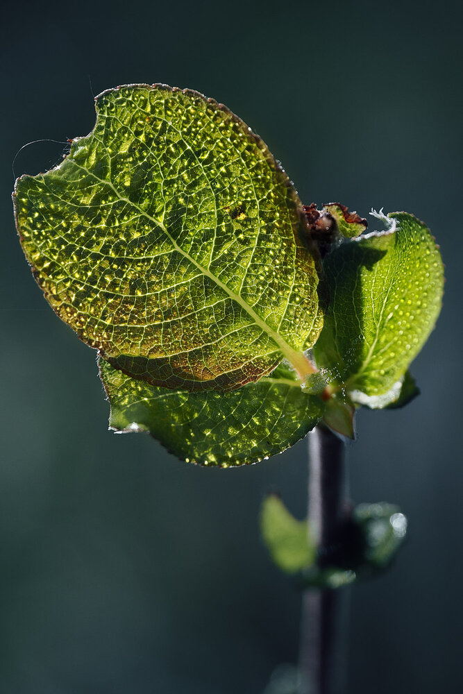Photograph by Евгений Лукашук