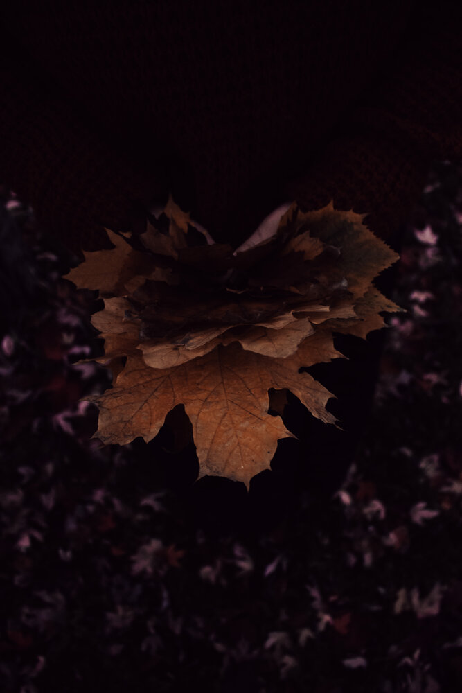 Photograph by Ирина Григорьевна