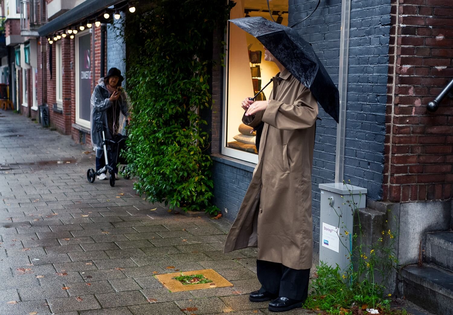 Photo #14146782
