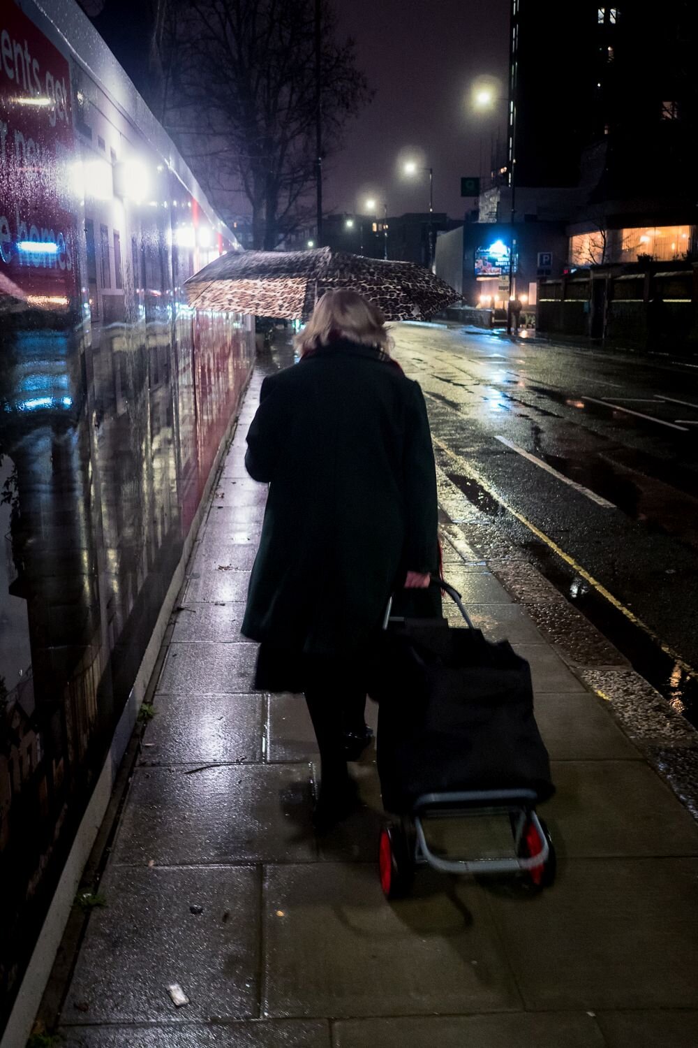 Photo #14146783