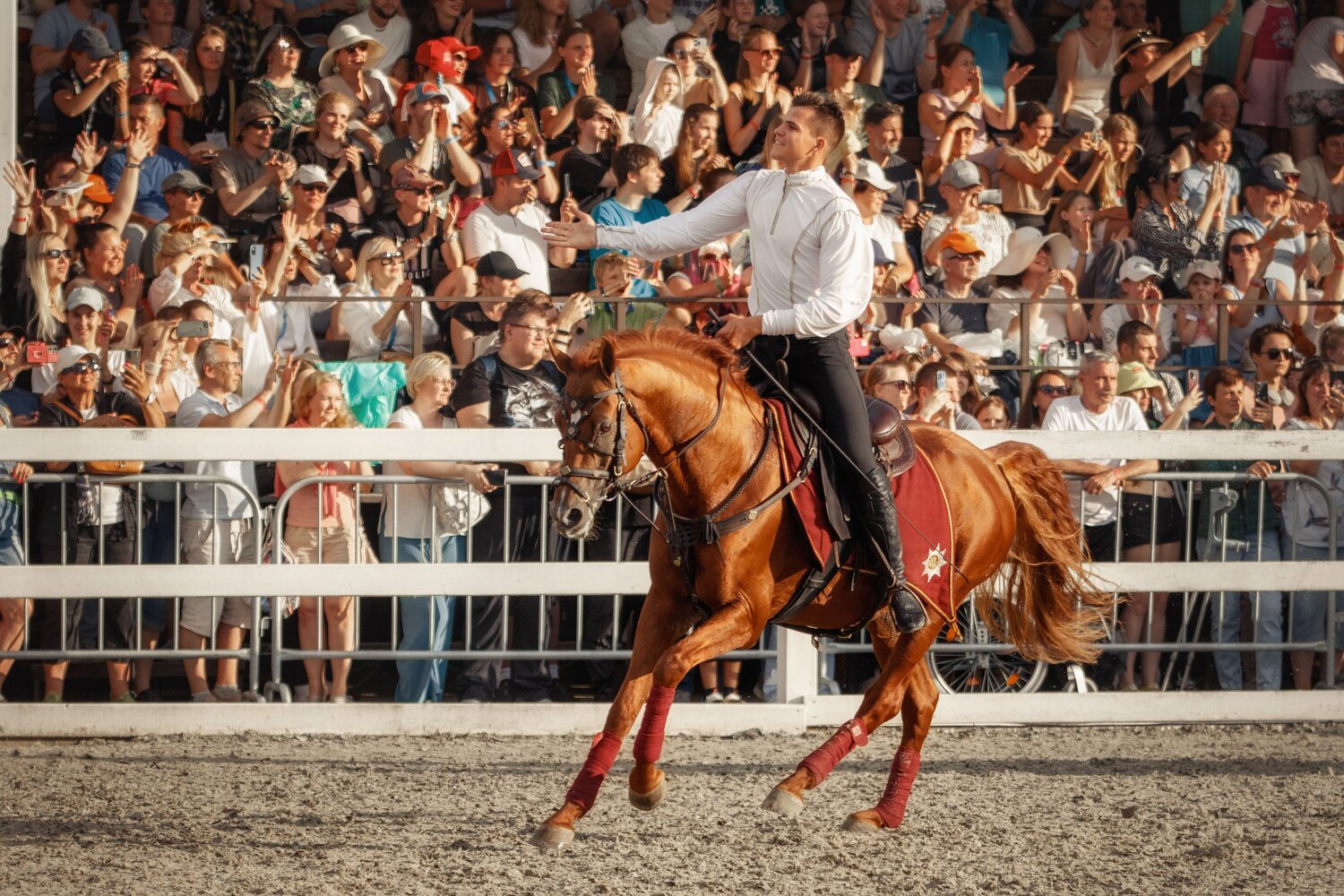 Photo #14146808
