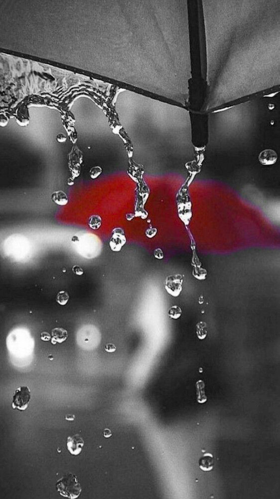 Photograph by Massoud Mahmoud