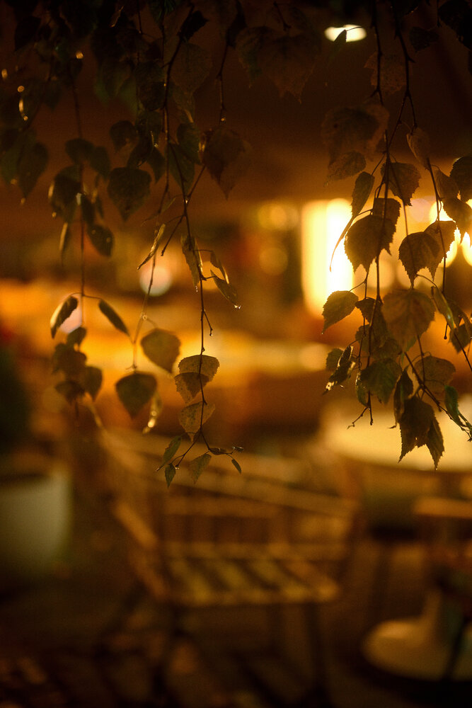 Photograph by BESPAMIATNYI Dmitry
