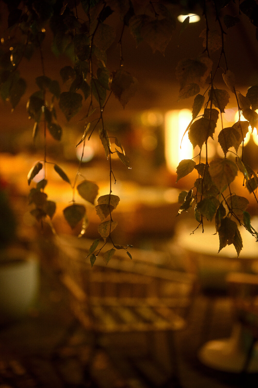 Photo #14146862