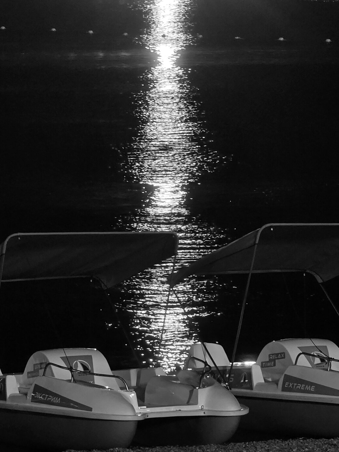 Photo #14146904