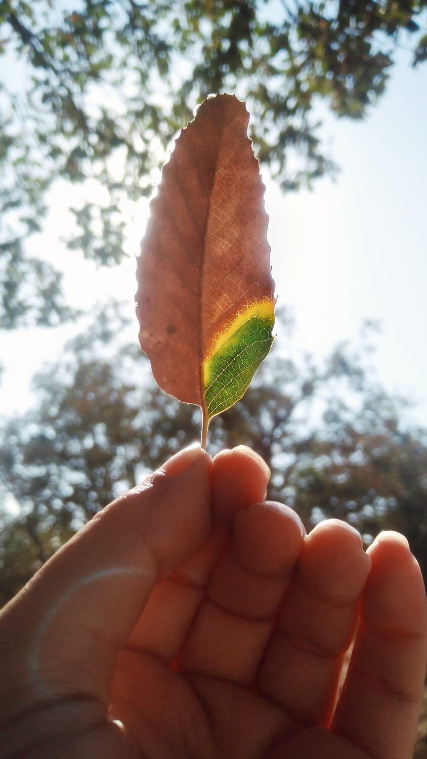 Photo #14146953