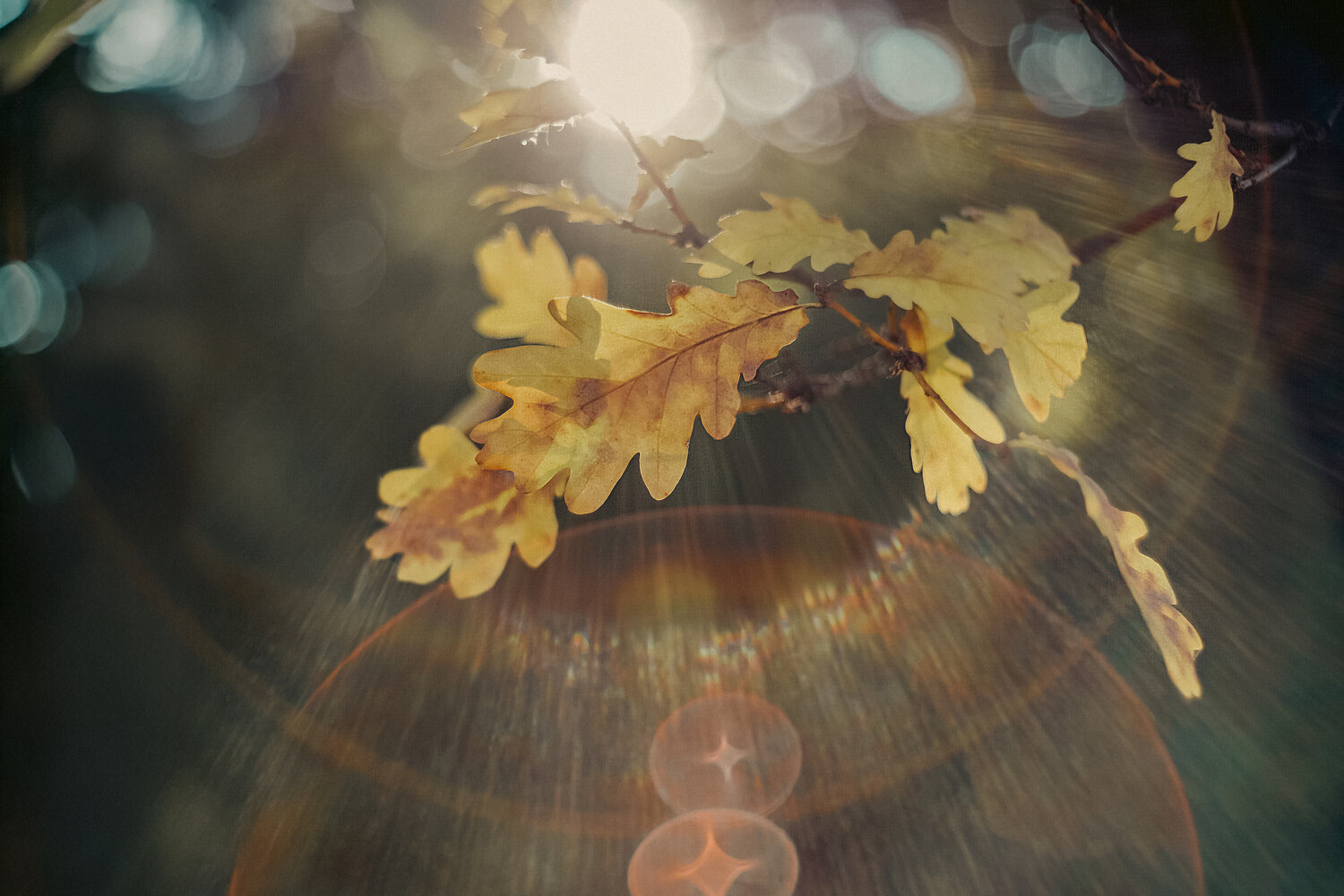 Photo #14146954