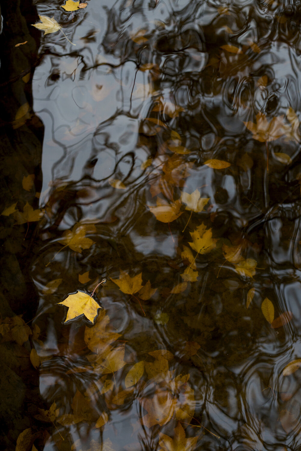 Photo #14147154