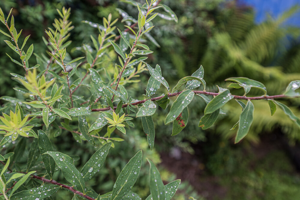 Photograph by Андрей Ныриков