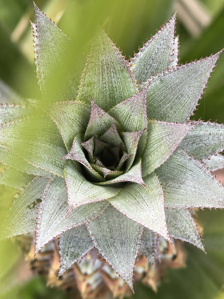 Perfect Symmetry