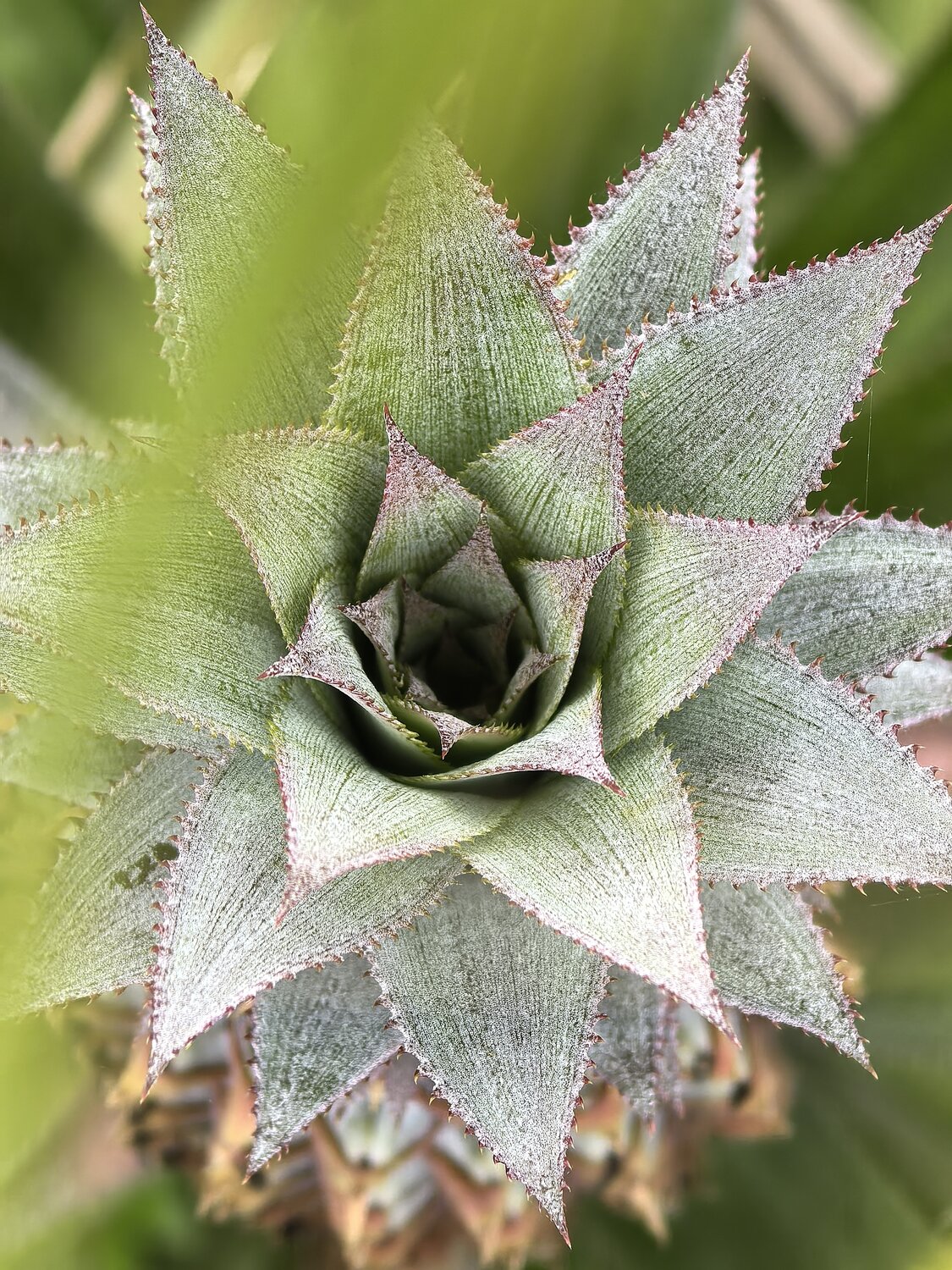 Perfect Symmetry