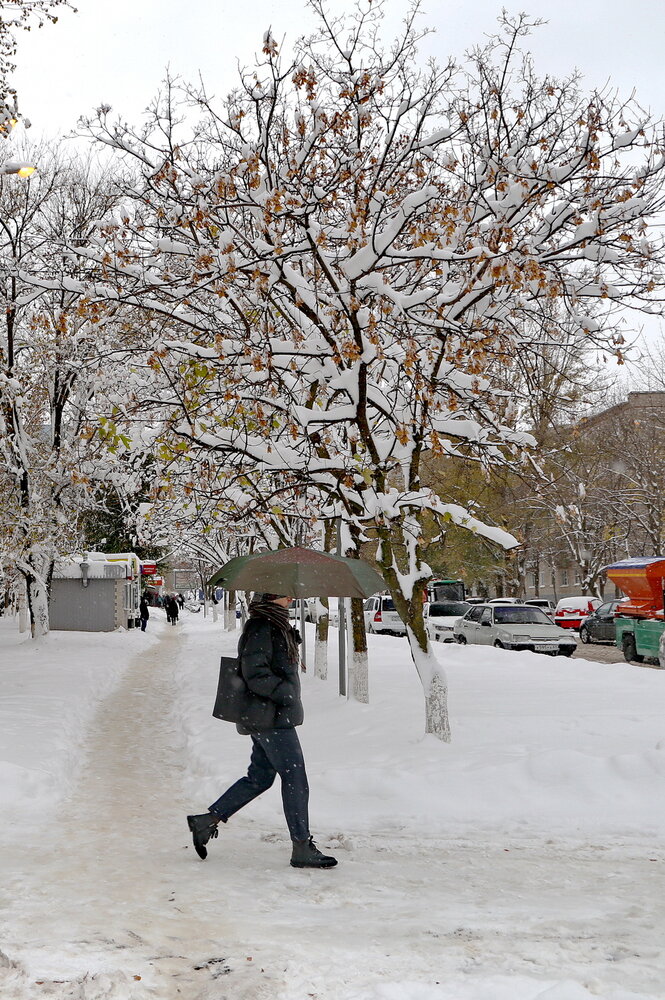 Photograph by Александр Челмодеев