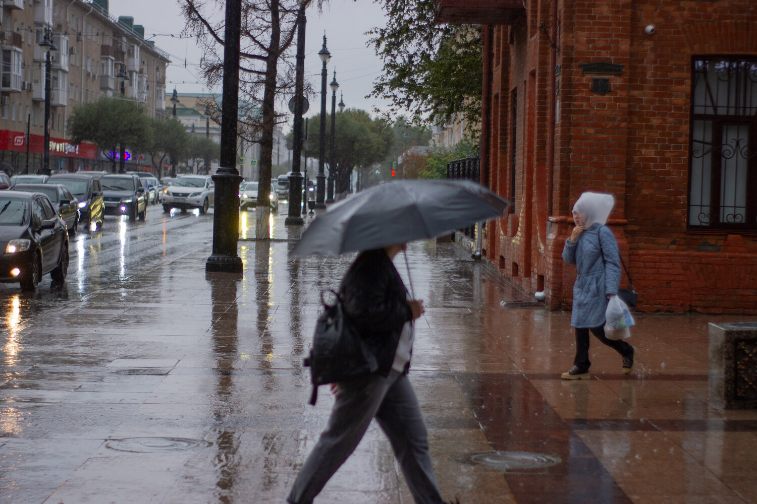 Photo #14147445