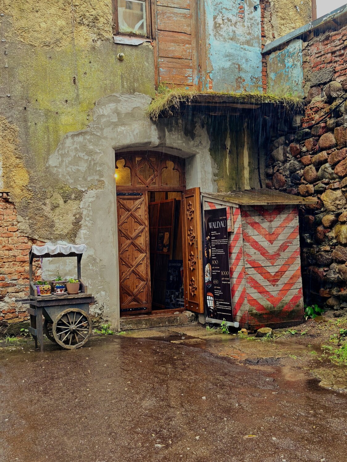 Фотография #14147460