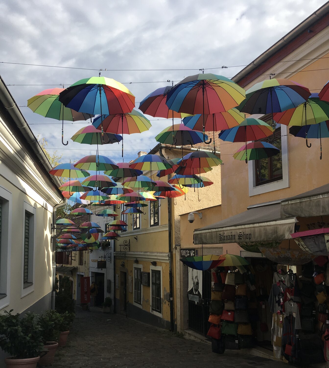 Фотография #14147498