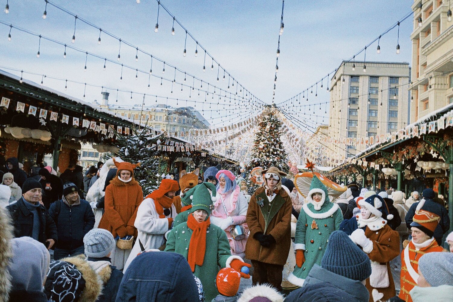 Фотография #14147558