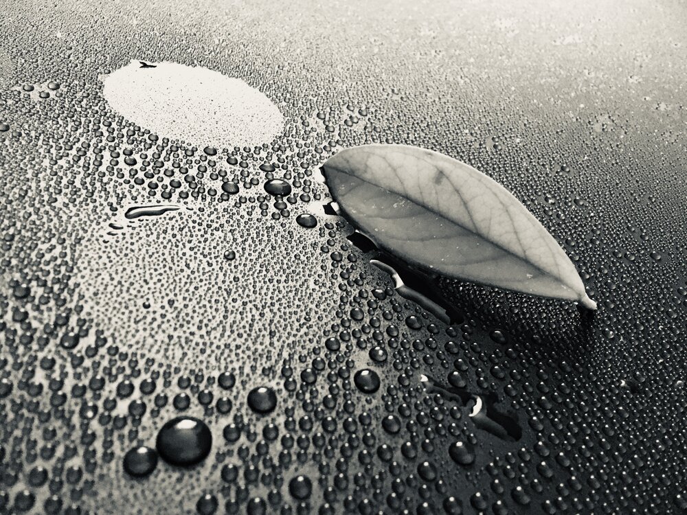 Photograph by Нина Фролова