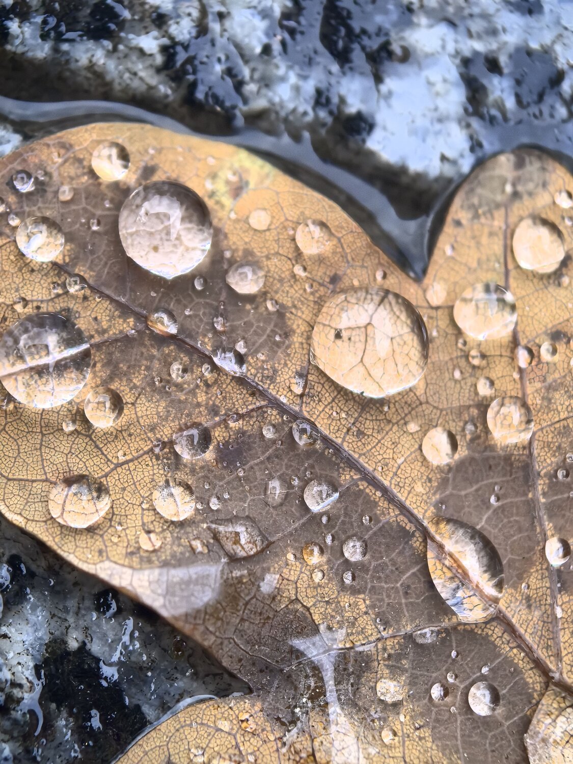 Drops