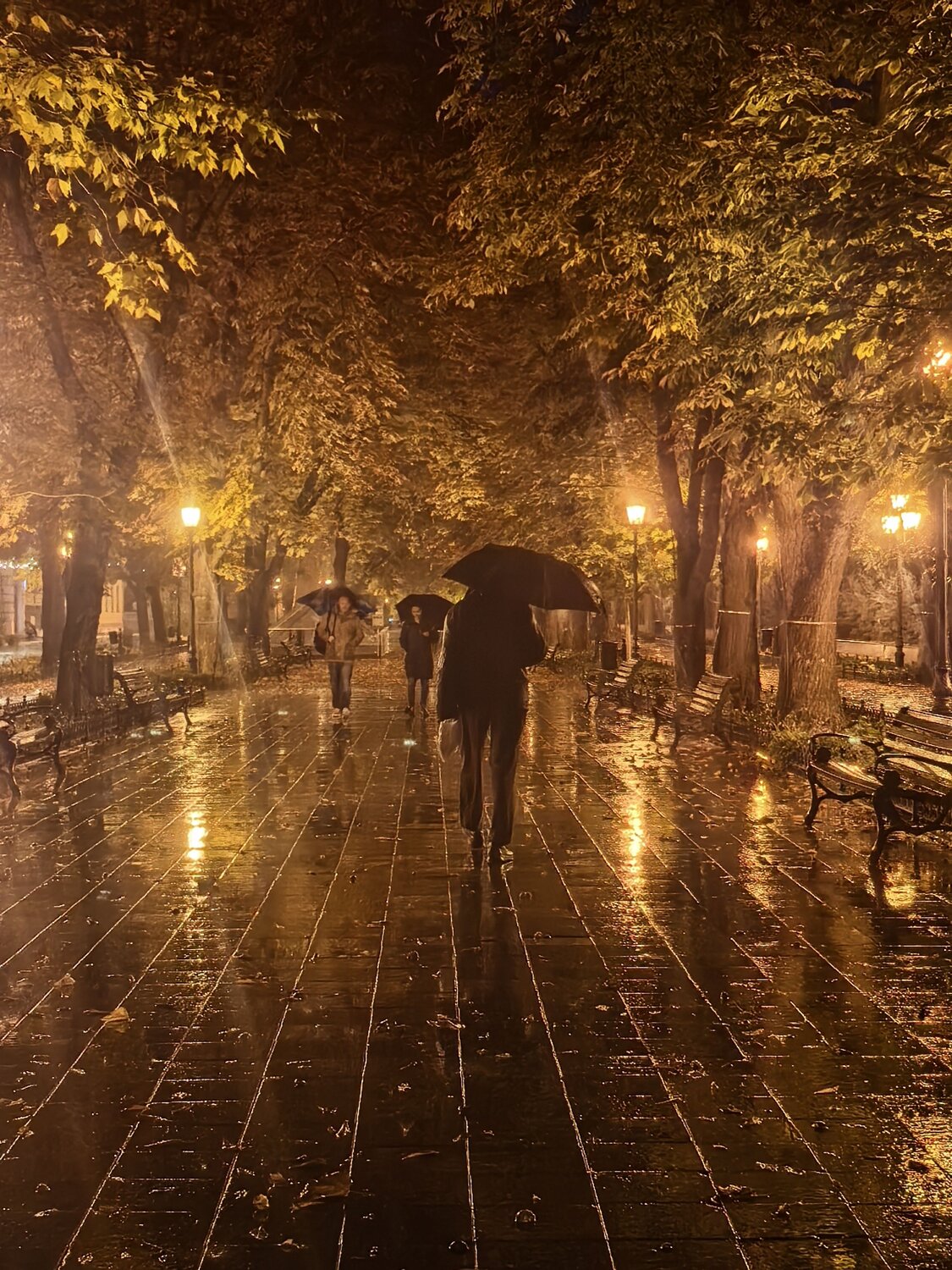 Odessa Rain