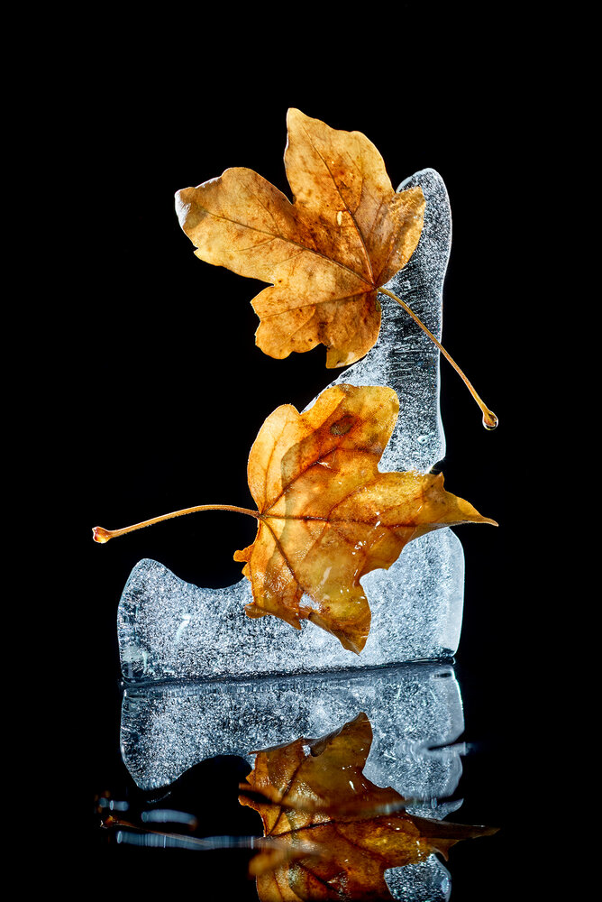 Photograph by Juri Vollenweider