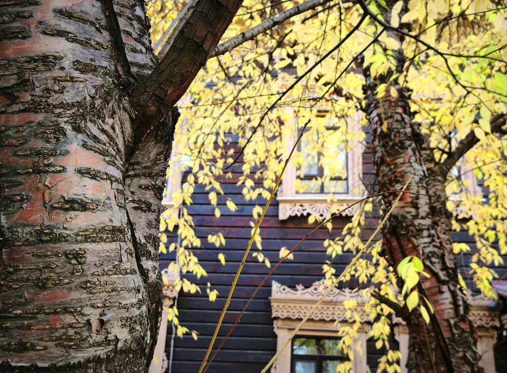 Photograph by Михаил Дронов