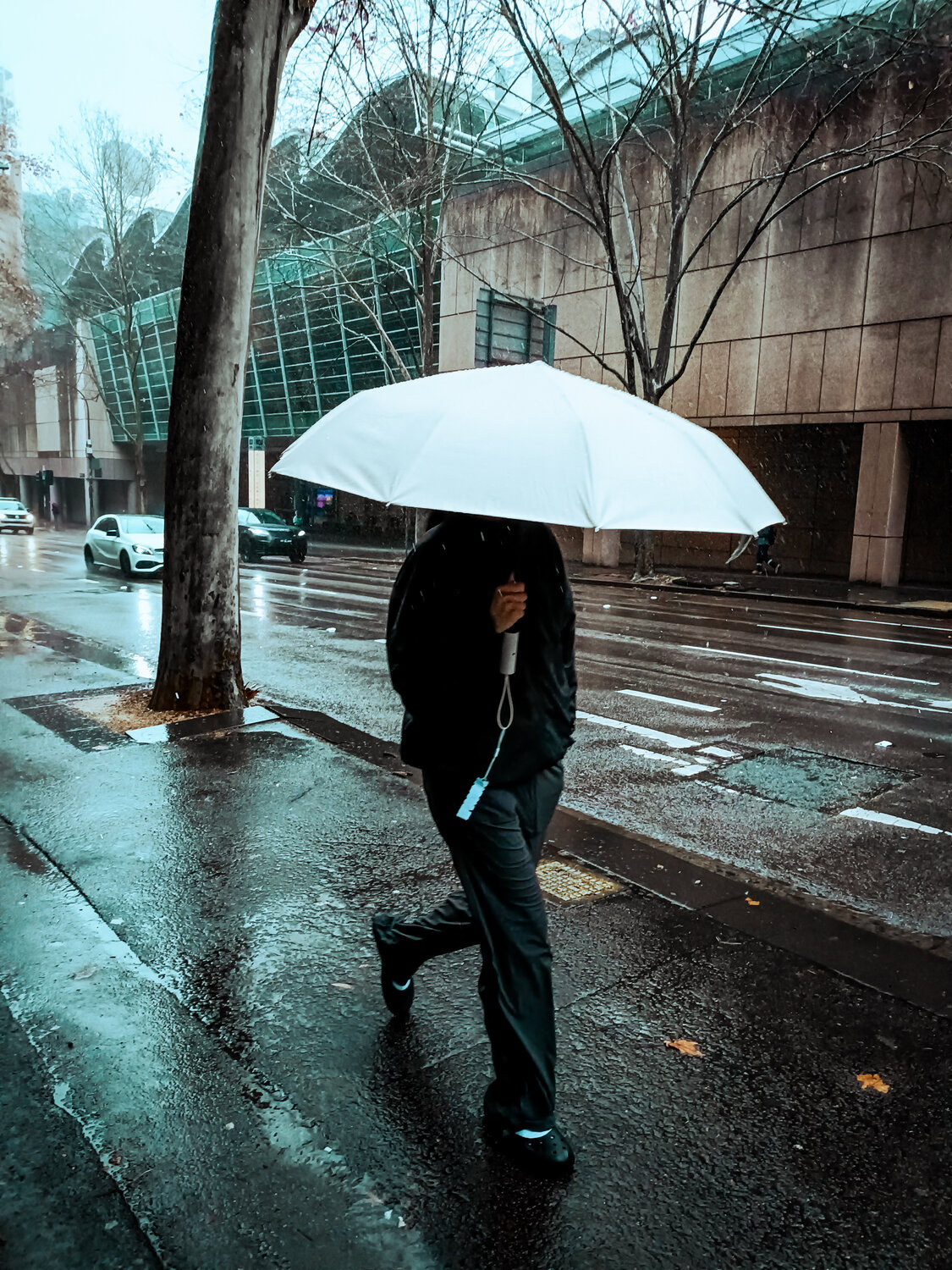 Photo #14147839