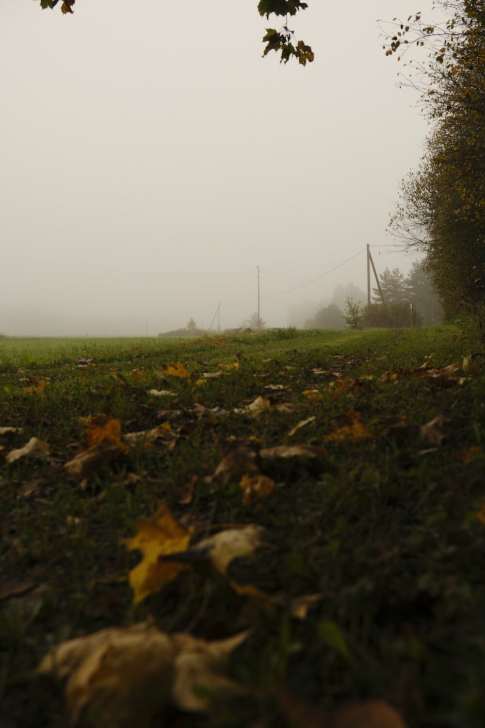 Photo #14148021