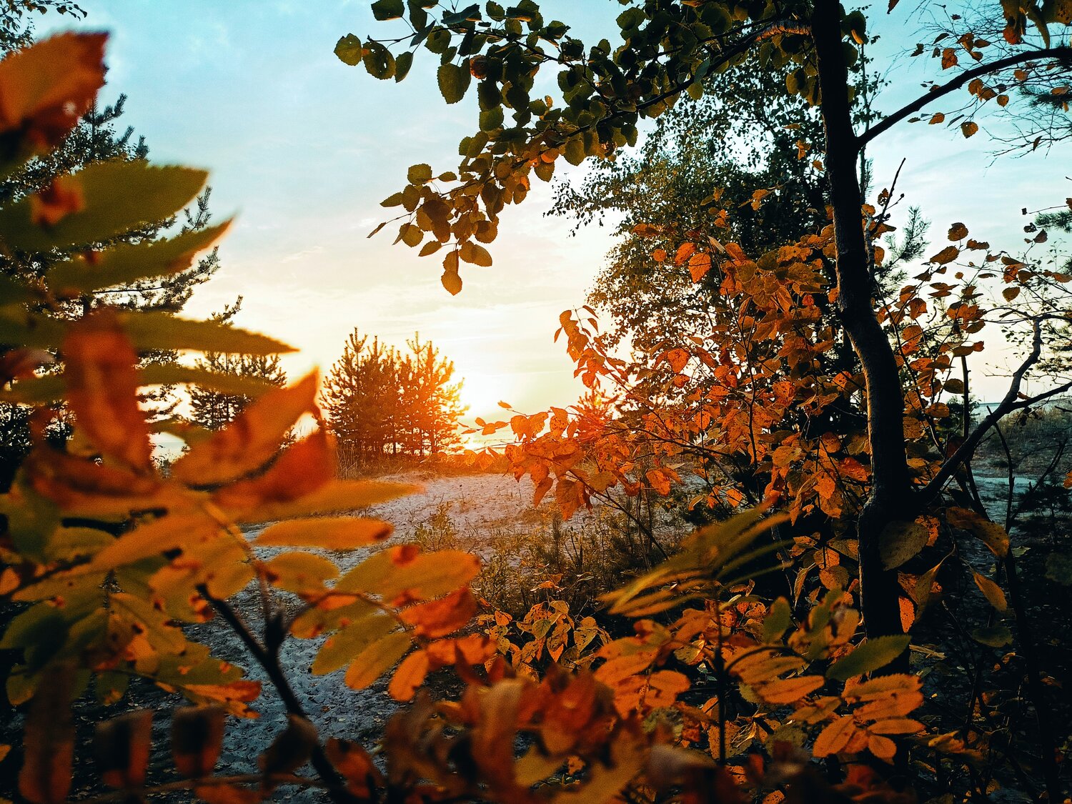 Photo #14148217