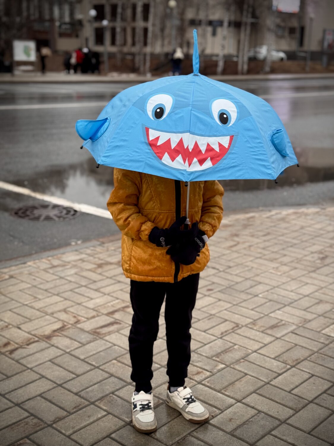 Photo #14148230