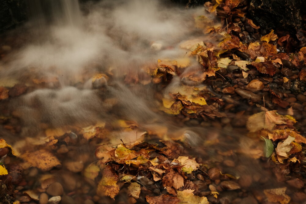 Photograph by Alexander Nosov