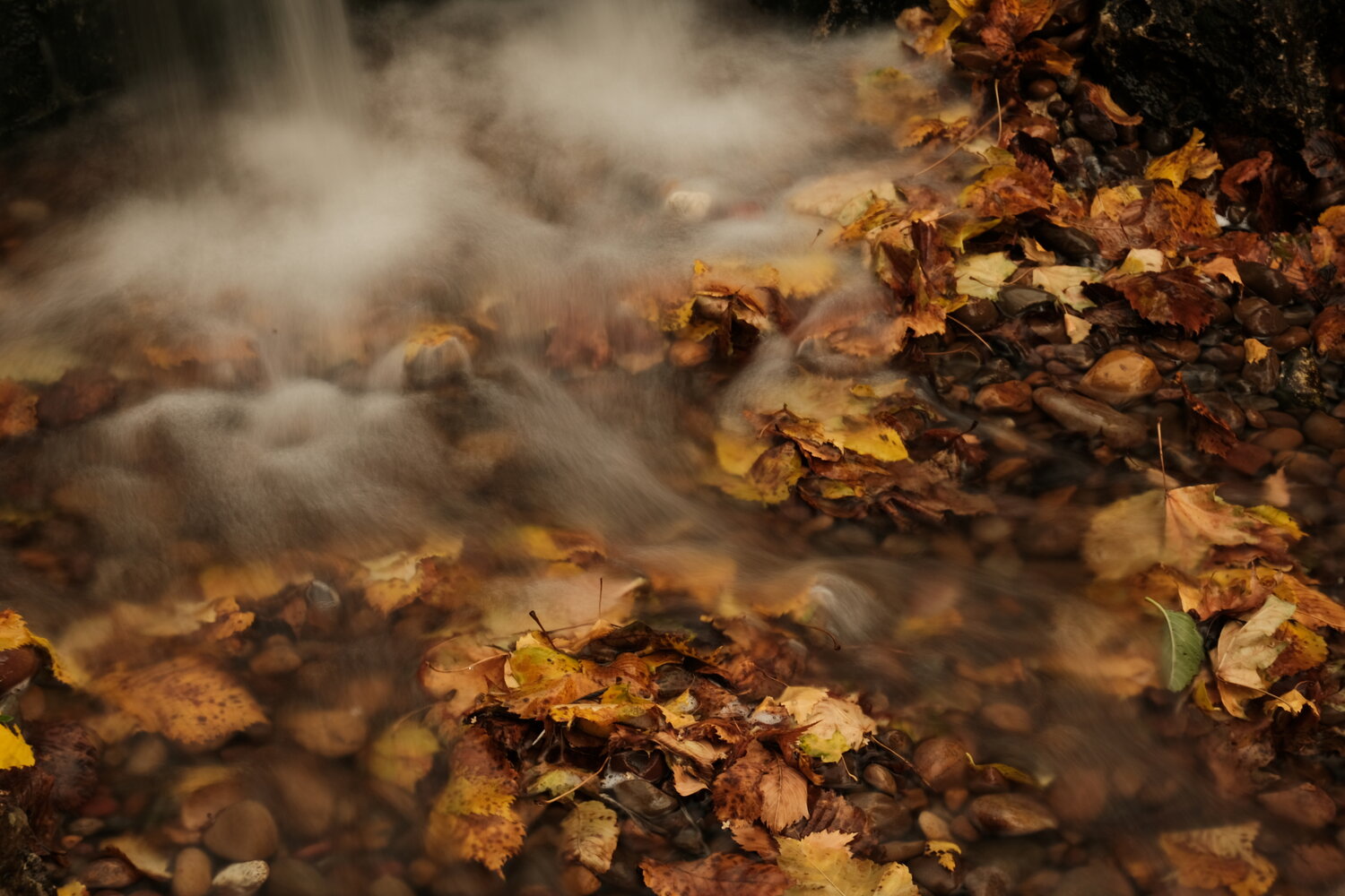 Photo #14148287