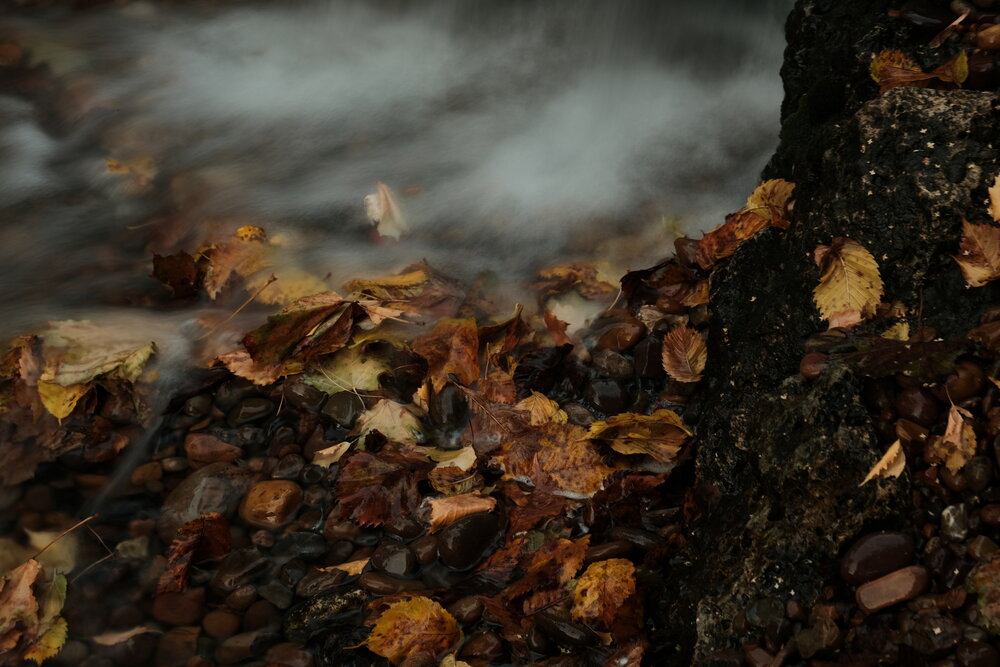 Photograph by Alexander Nosov