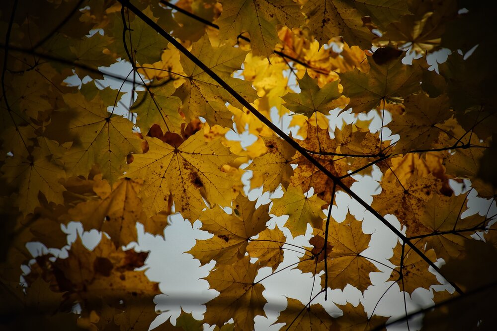 Photograph by Наталья Ионова