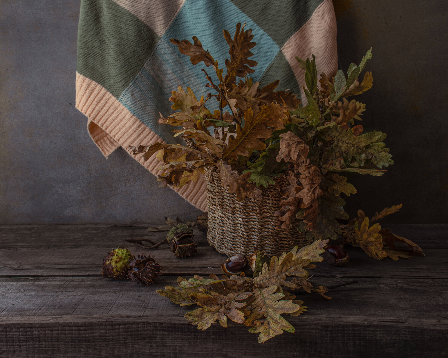Photo #14148350