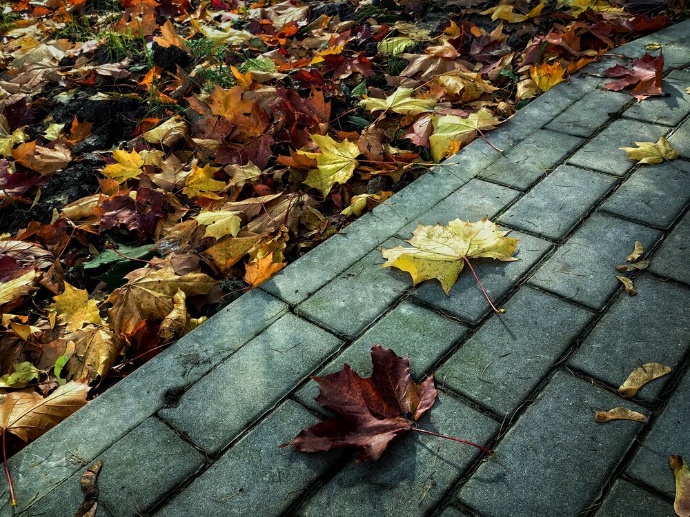 Photograph by Наталья Ионова