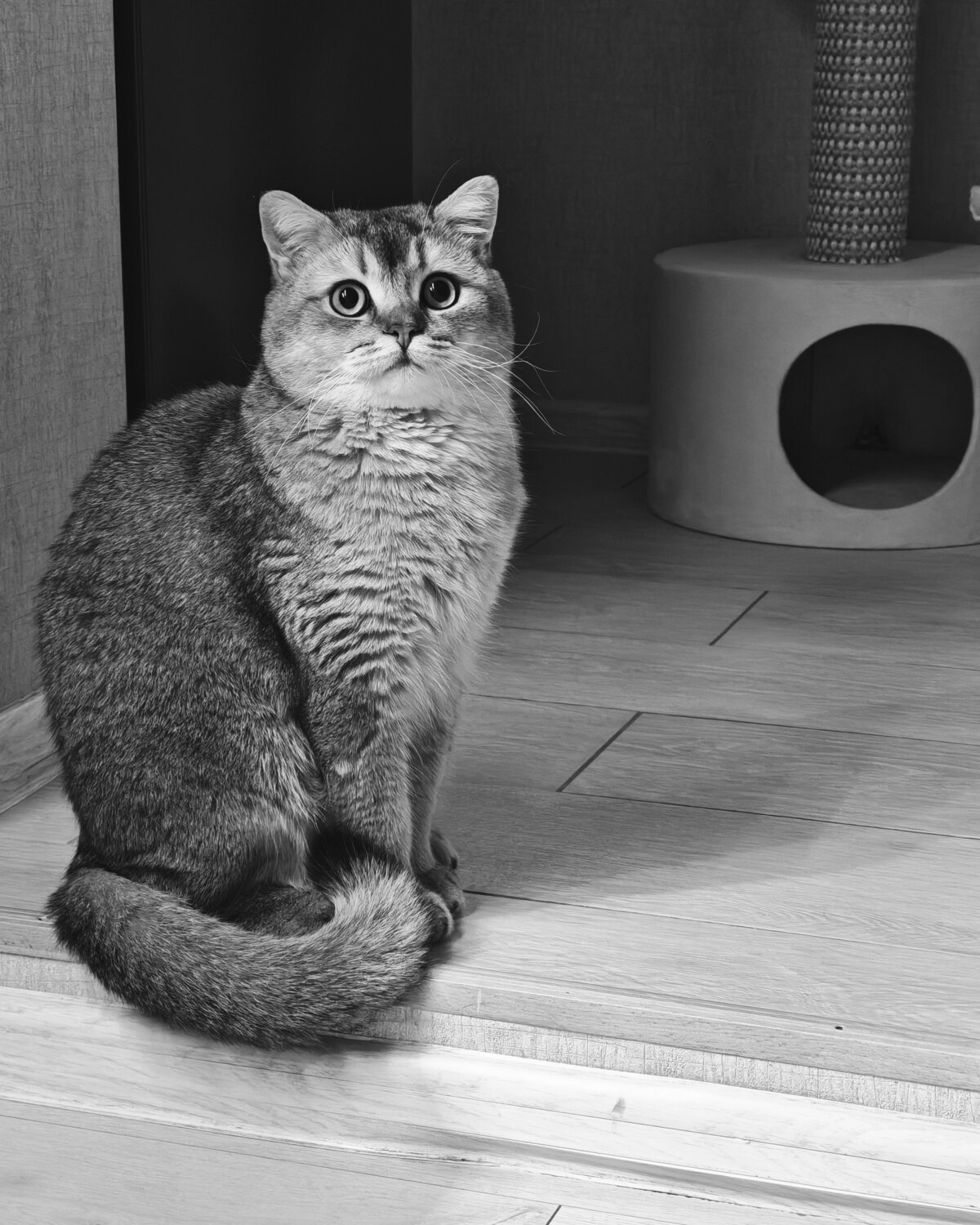 Photo #14148422