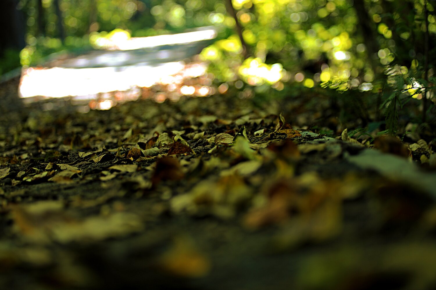 Photo #14148480