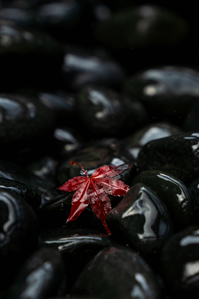 Photograph by Анастасия Зайчуковская