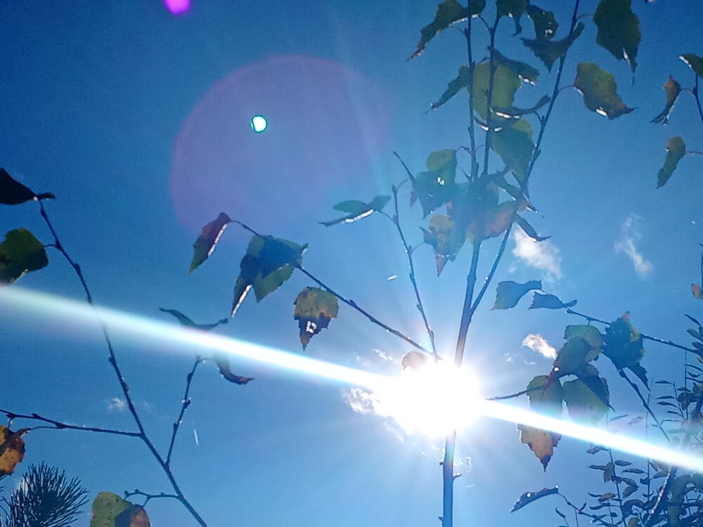 Photo #14148568
