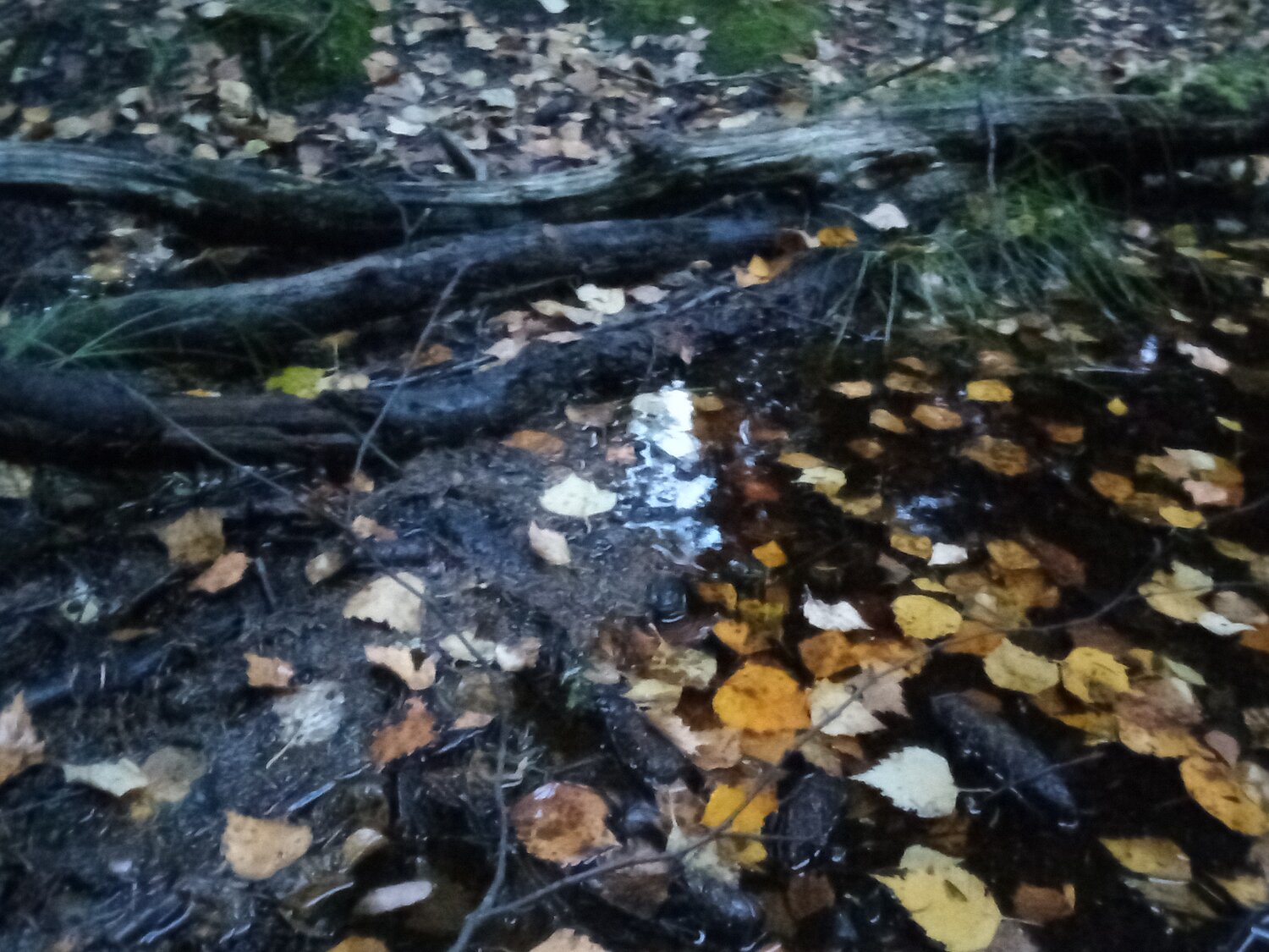 Photo #14148599