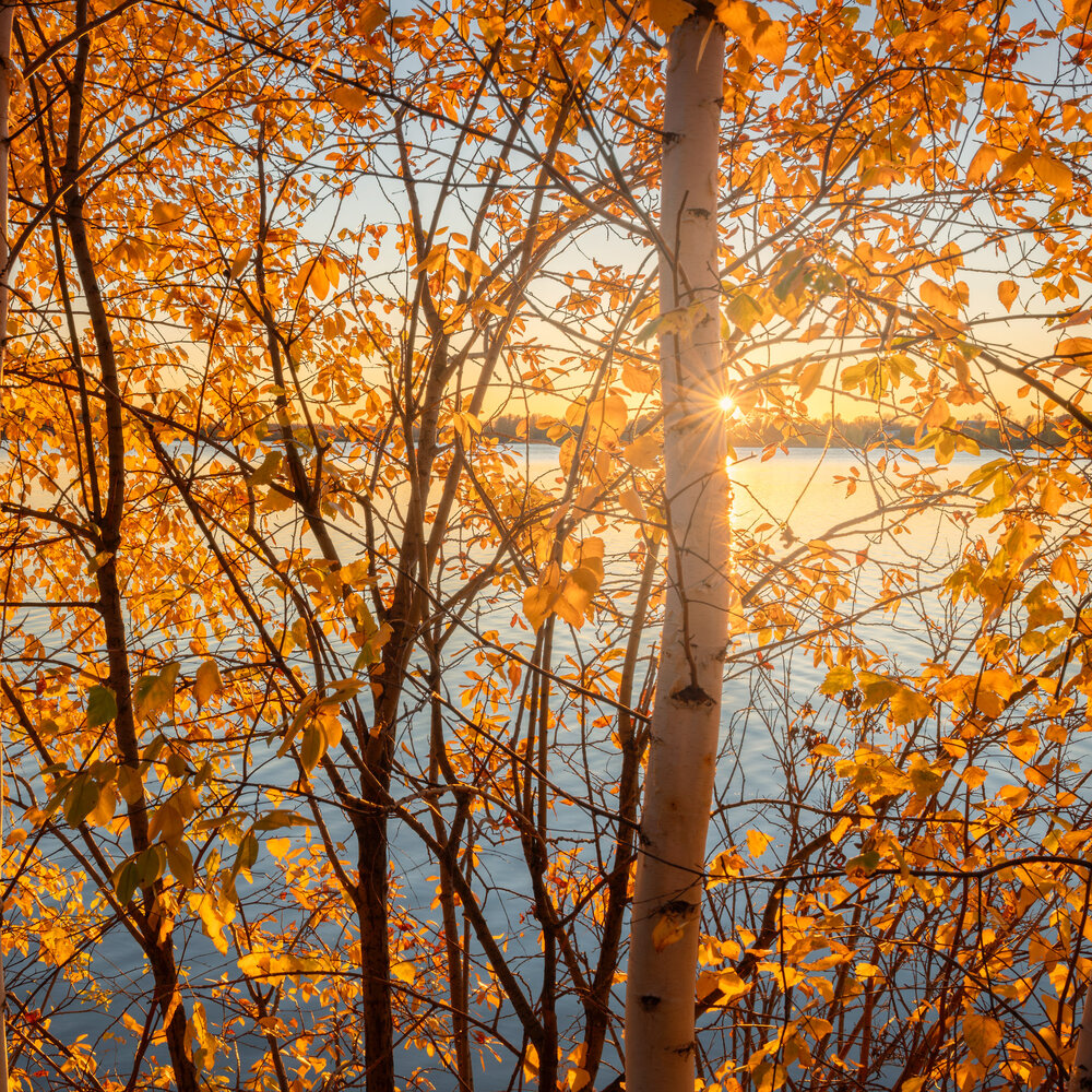 Photograph by Леонтьев Константин