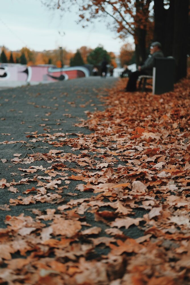 Photograph by Аида Фай