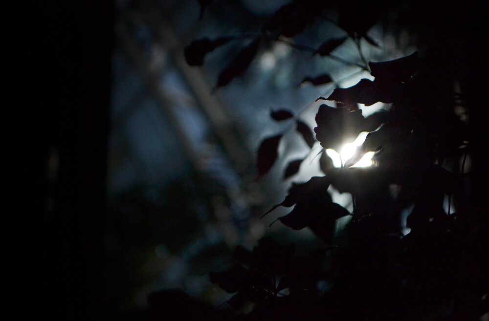 Photograph by Таня Климкович