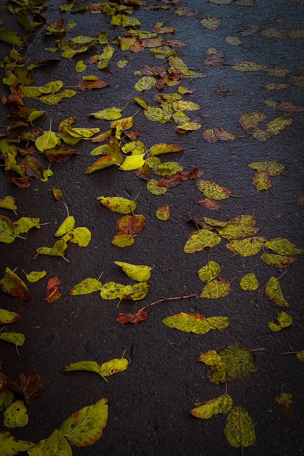Photo #14148673